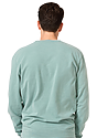 Unisex Vintage Pigment Dyed Fleece Crew Sweatshirt FERN 3
