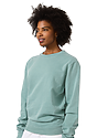 Unisex Vintage Pigment Dyed Fleece Crew Sweatshirt FERN 5