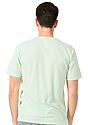 Unisex 50/50 Blend Tee HEATHER PISTACHIO Back