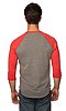 Unisex Triblend Raglan Baseball Shirt TRI VINTAGE GREY/TRI RED Back