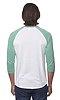 Unisex Triblend Raglan Baseball Shirt TRI WHITE / TRI KELLY Back