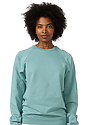 Unisex Organic Raglan Crew Neck Sweatshirt ARCTIC Front2