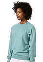 Unisex Organic Raglan Crew Neck Sweatshirt ARCTIC Back2