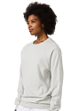 Unisex Organic Raglan Crew Neck Sweatshirt STONE Back2