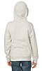 Youth Triblend Fleece Pullover Hoodie TRI ASH Back