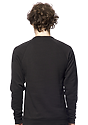 Unisex Triblend Fleece Raglan Crew Sweatshirt TRI BLACK Back