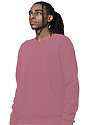 Unisex Fashion Fleece Crew Sweatshirt WINE 3