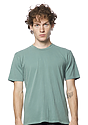 Unisex Vintage Pigment Dyed Tee  Front