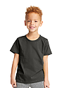 Toddler Vintage Pigment Dyed Tee CHARCOAL 1