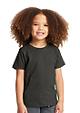 Toddler Vintage Pigment Dyed Tee CHARCOAL 4