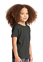 Toddler Vintage Pigment Dyed Tee CHARCOAL 5